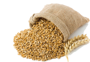 A small sack filled with grain.