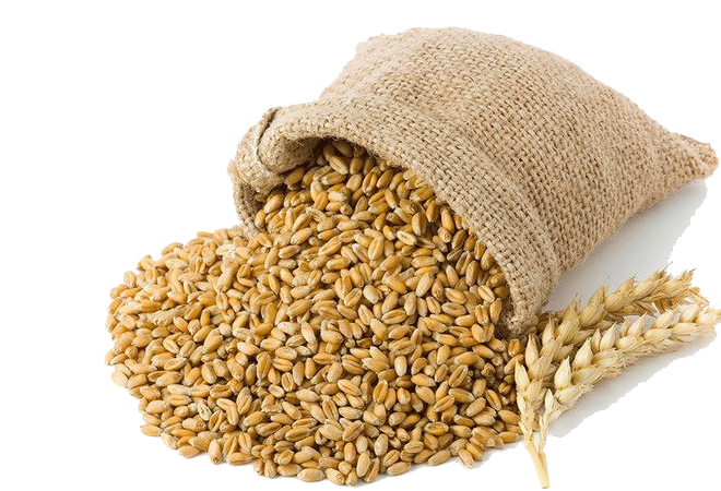 A small sack filled with grain.