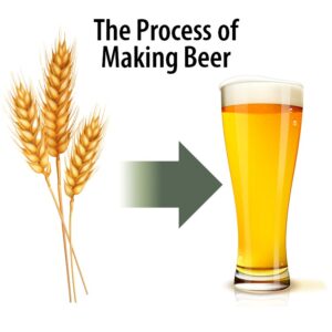 The process of making beer with three stocks of wheat and a arrow pointing to a glass of beer.